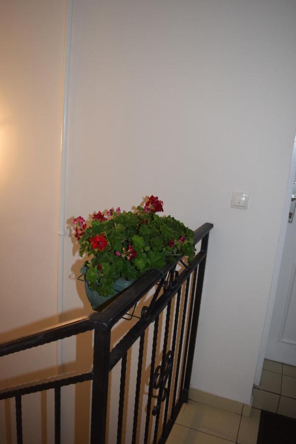 Nadja Appartement Novi Sad Buitenkant foto